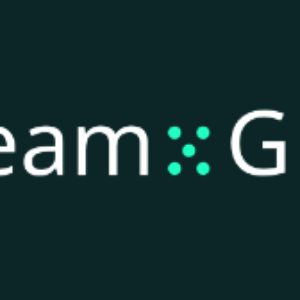 TeamGPT