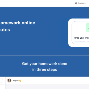 domyhomework.online